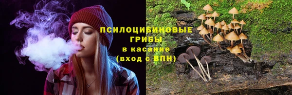 синтетический гашиш Алексин