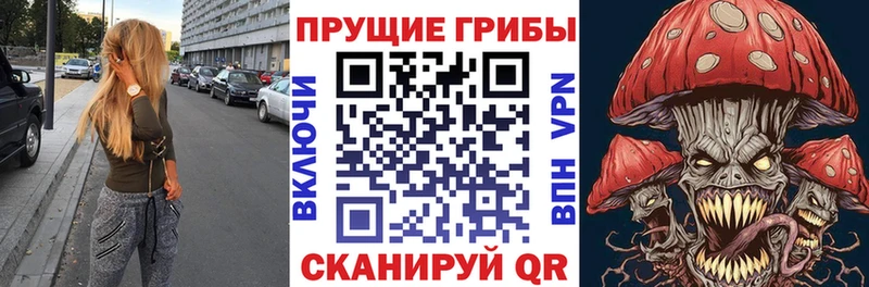 Галлюциногенные грибы прущие грибы  купить   Арамиль 